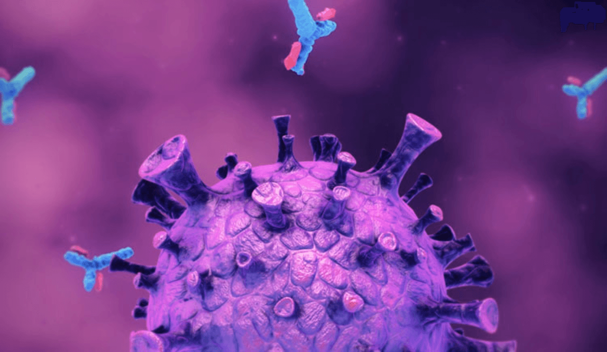 Post-Pandemic Immunity Reset: How COVID-19 Changed Our Immune Systems & What to Do About It