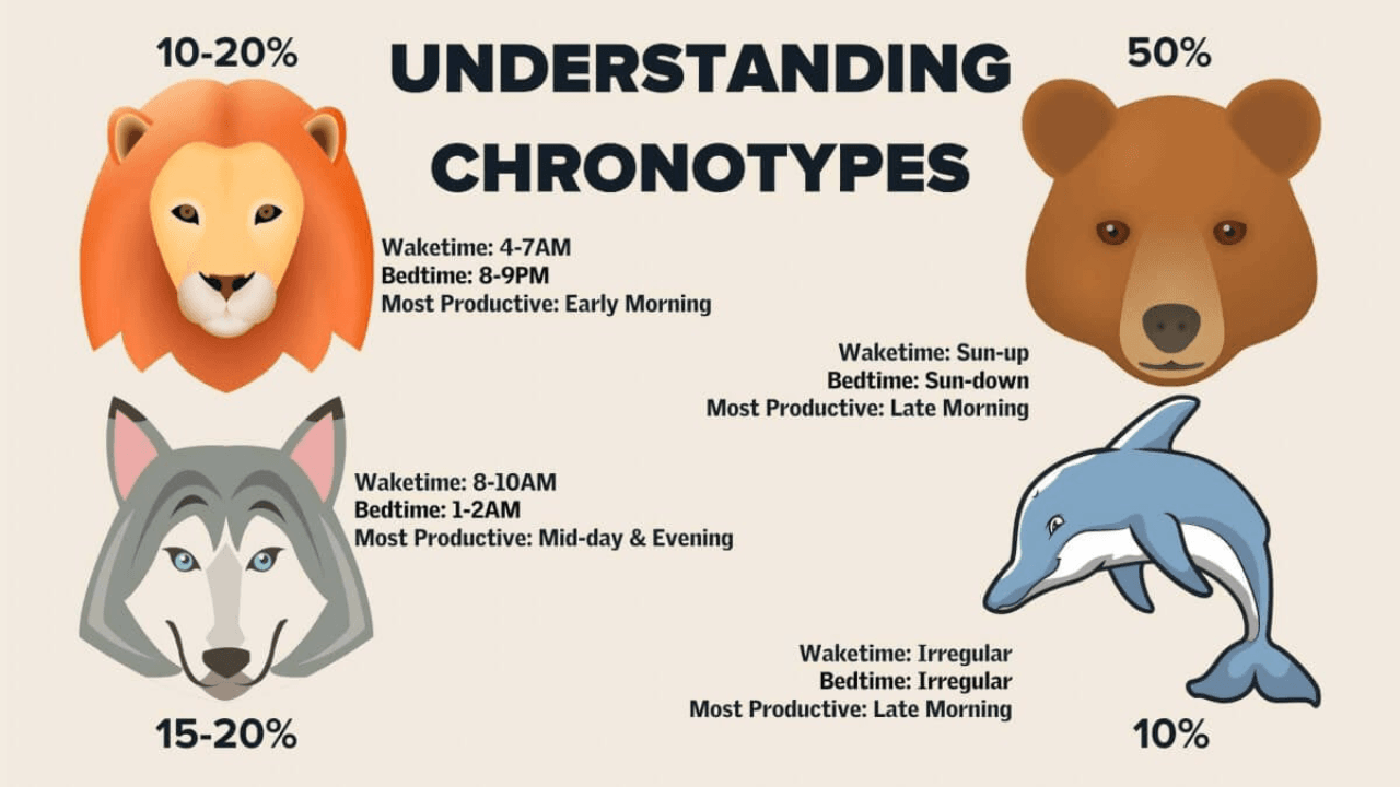 Chronotypes & Sleep Genetics: Are You Wired for Midnight?
