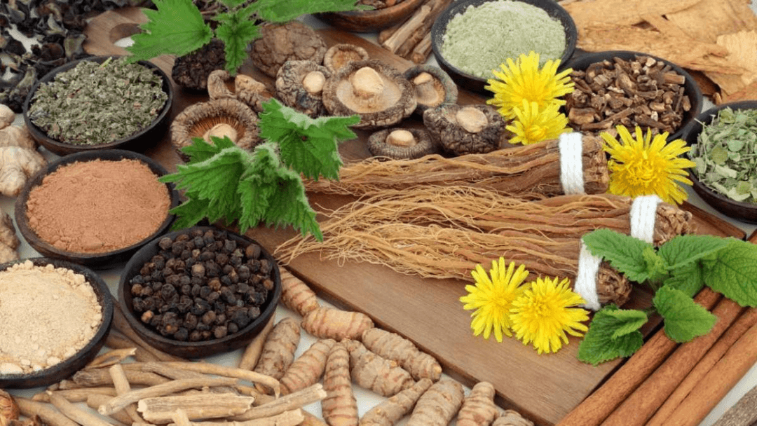 Adaptogens 101: Are These Herbal Remedies the Future of Medicine