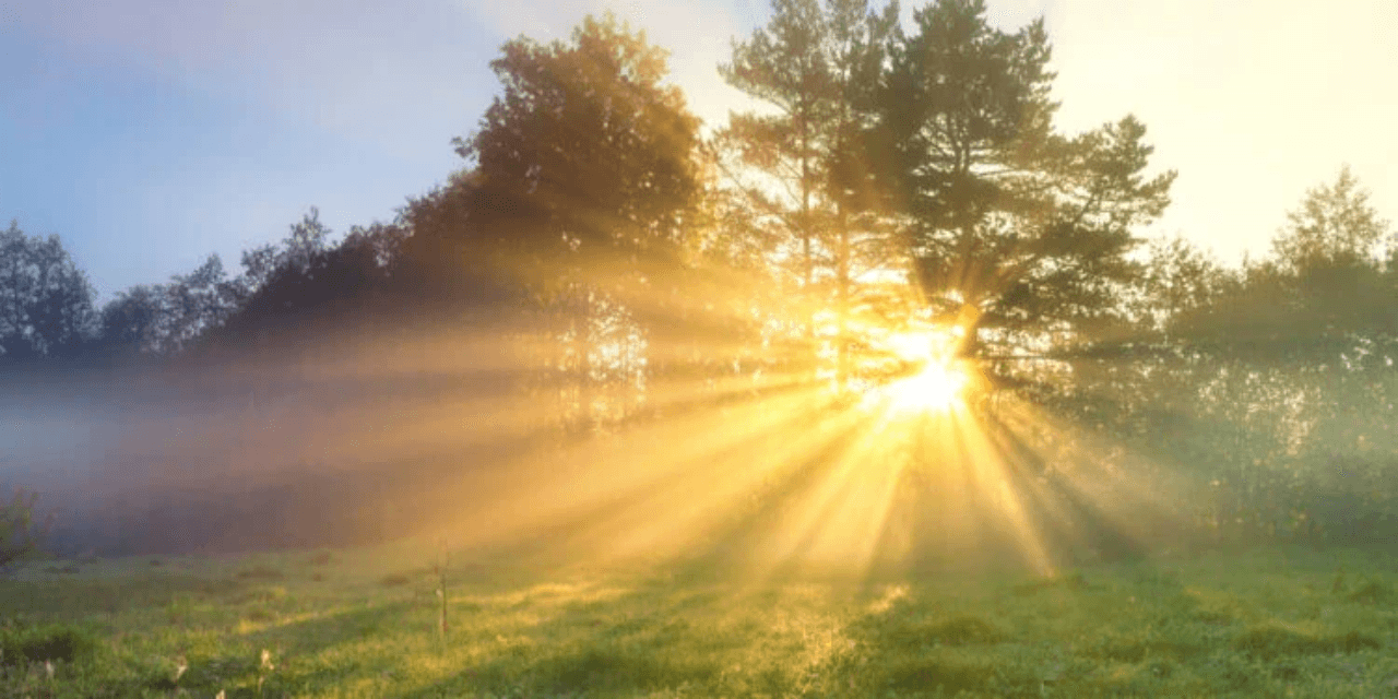 Sunlight as Medicine: The Rise of Circadian Wellness