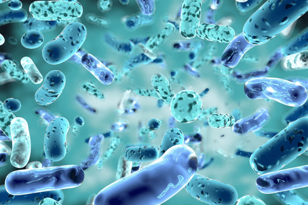 Postbiotics: The Next Gut Health Superstars